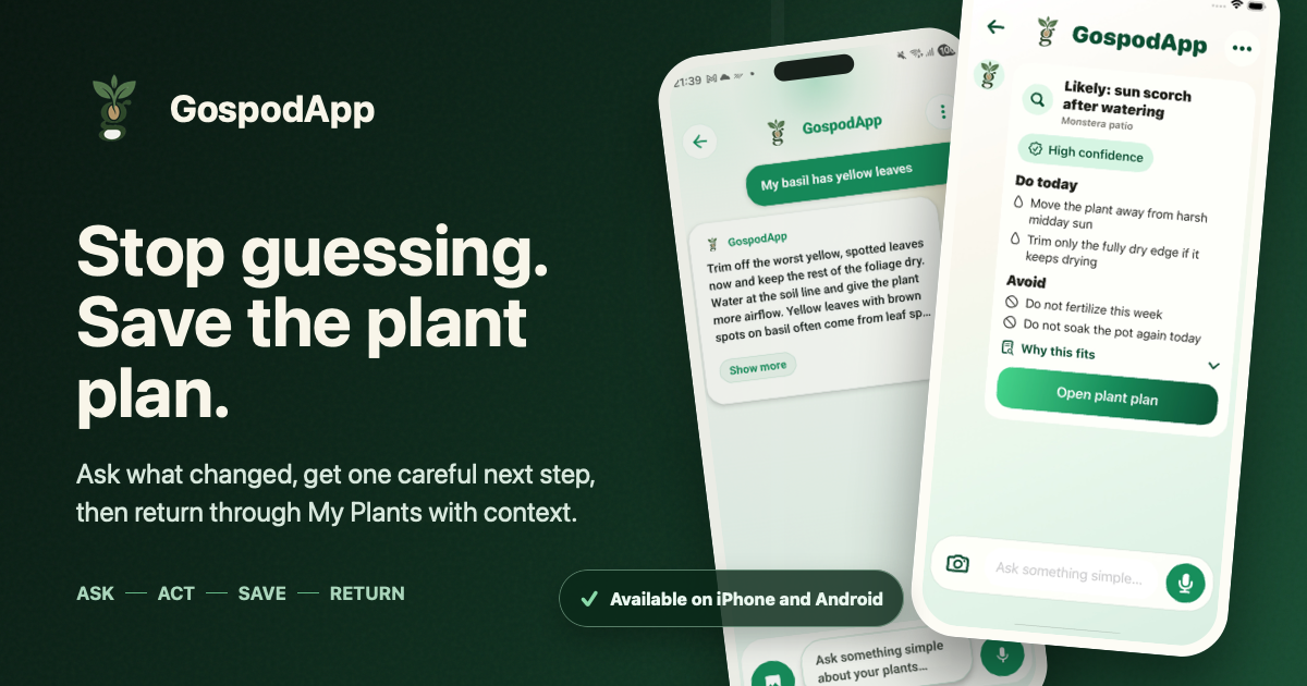 GospodApp social sharing image